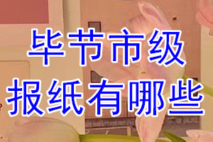 畢節(jié)市級報(bào)紙有哪些